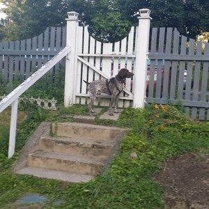 Meet your Posher, Chad